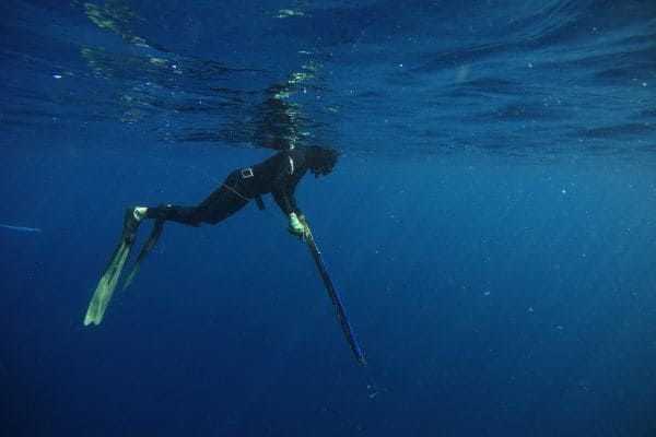 Cozumel Beginner Fun Dive
